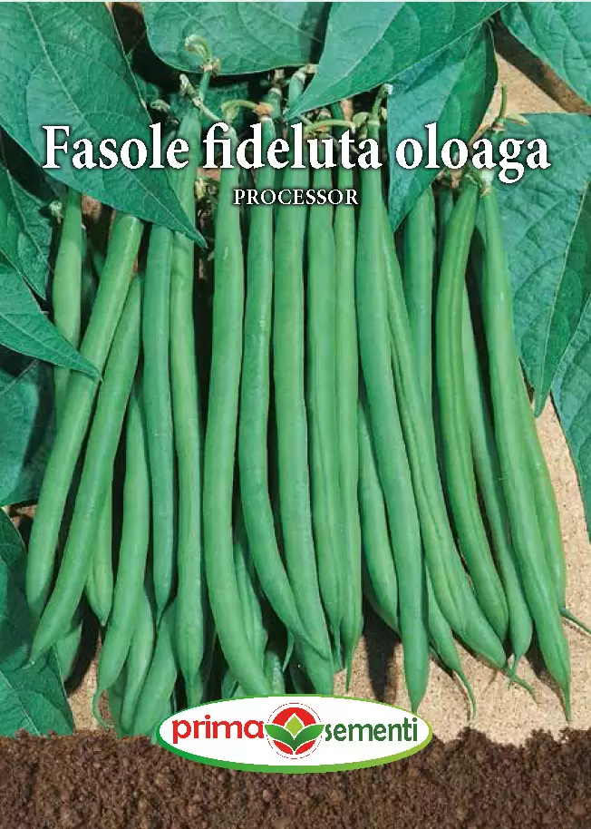 Seminte - Fasole fideluta oloaga Processor