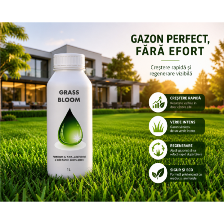 Fertilizant - Fertilizant EC special pentru gazonul din curte, Grass Bloom, 1 litru