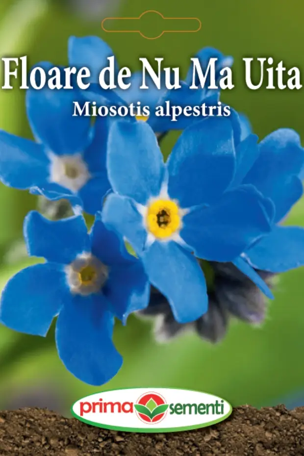 Seminte flori - Floare de Nu Ma Uita