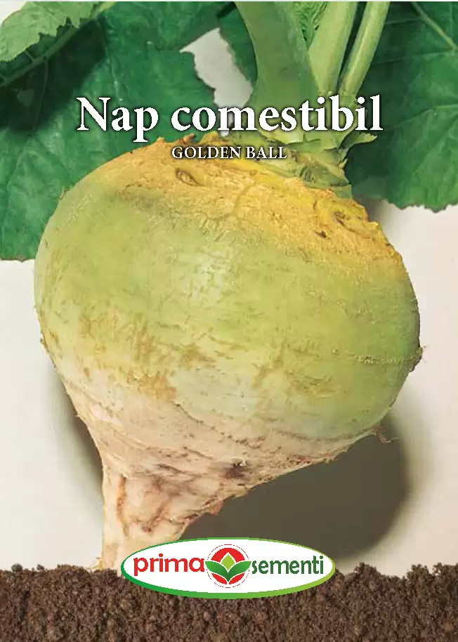 Seminte - Nap comestibil