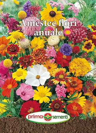 Seminte flori - Seminte amestec flori anuale