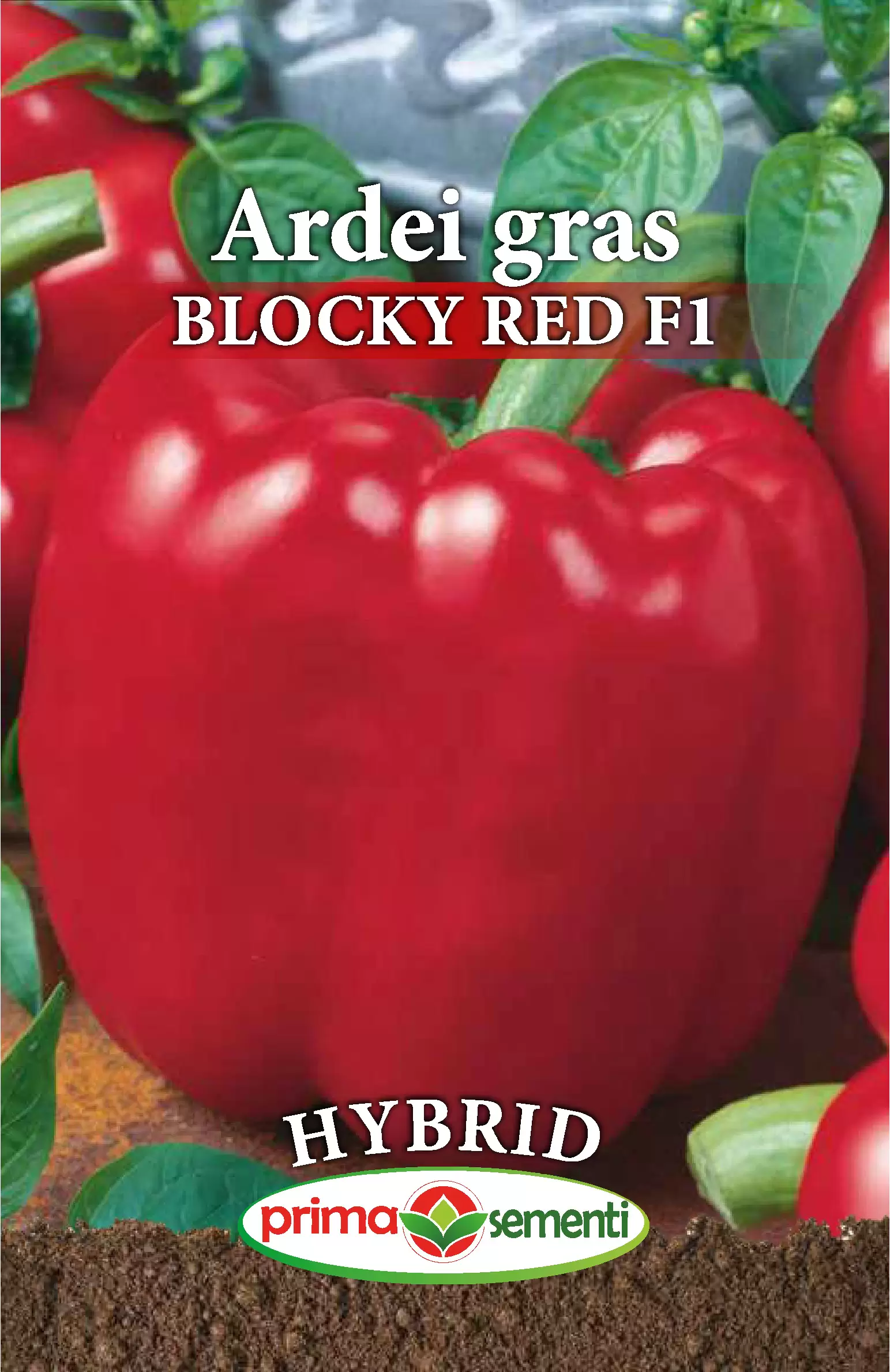 Seminte de Legume - Seminte ardei gras Blocky Red F1