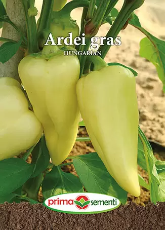 Seminte de Legume - Seminte ardei gras Hungarian