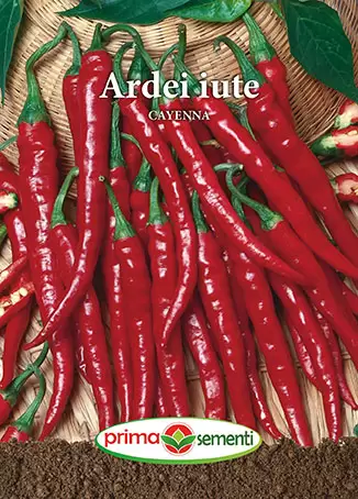 Seminte de Legume - Semințe ardei iute Cayenna