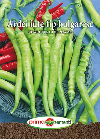 Seminte de Legume - Seminte ardei iute Sigaretta Di Bergamo
