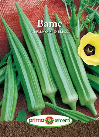 Seminte de Legume - Seminte Bame