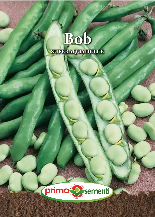 Seminte de Legume - Seminte Bob Superaquadulce