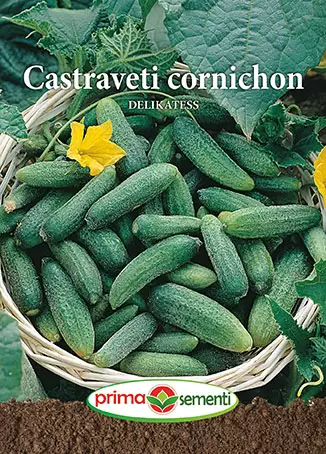 Seminte de Legume - Seminte castraveti Delikatess