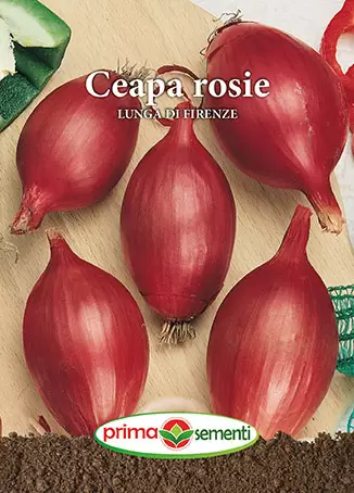 Seminte de Legume - Seminte ceapa rosie Lunga Di Firenze