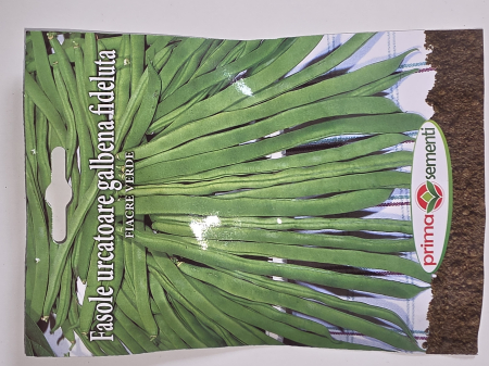 Seminte - Seminte fasole urcatoare FIACRE VERDE