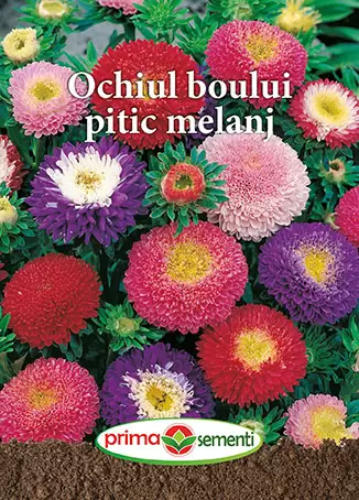 Seminte flori - Seminte Ochiul Boului