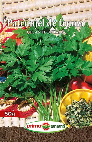 Seminte de Legume - Semințe pătrunjel frunze Gigante D`Italia 50 g