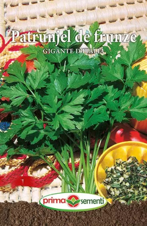 Seminte - Semințe pătrunjel frunze Gigante D`Italia
