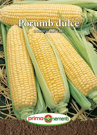 Seminte - Seminte porumb dulce Golden Bantam