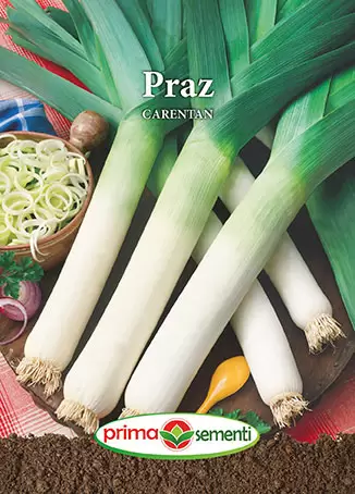 Seminte - Seminte praz Carentan