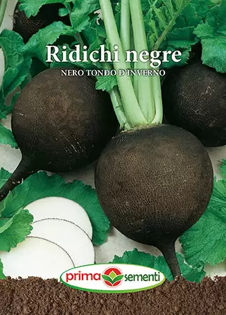 Seminte - Semințe ridichi de iarna Nero Tondo D`Inverno