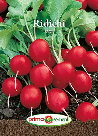 Seminte de Legume - Seminte ridichi De Luna Saxa