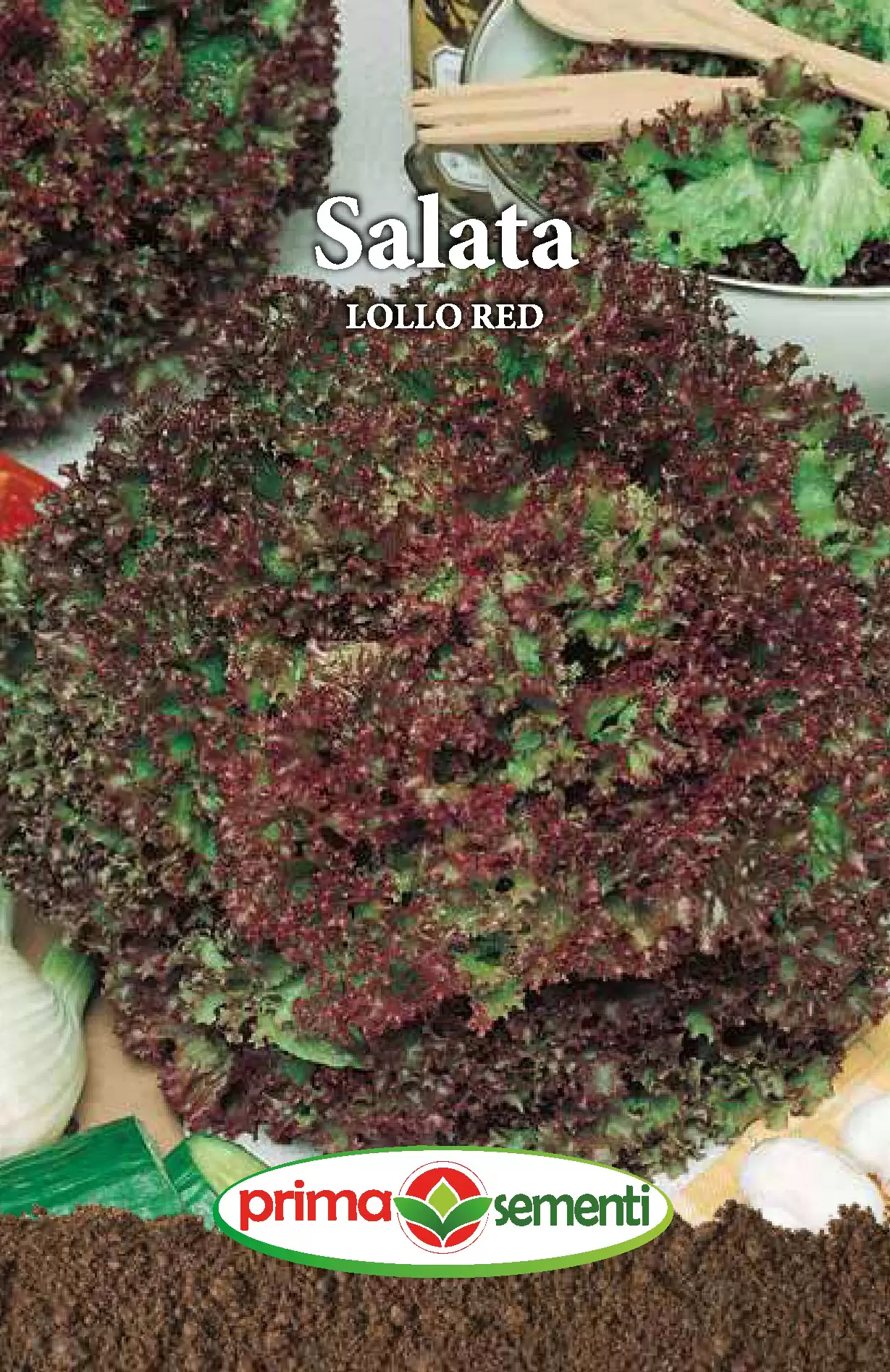 Seminte - Seminte salata Lollo Red