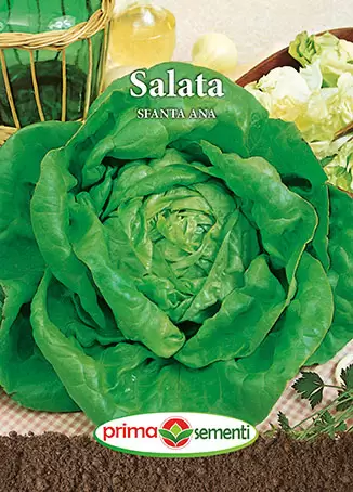 Seminte de Legume - Semințe salată S. Anna