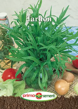 Seminte de Legume - Seminte Tarhon