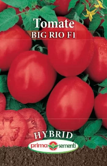 Seminte - Seminte tomate Big Rio F1