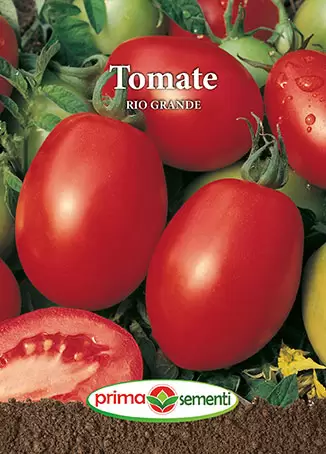 Seminte - Seminte tomate Rio Grande