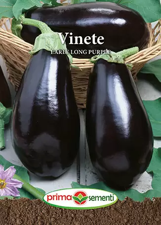 Seminte - Seminte vinete Early Long Purple