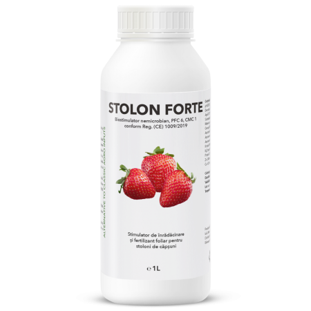 Fertilizant - Stimulator de inradacinare si fertilizant foliar pentru stolonii de capsuni, Stolon Forte, 1 litru