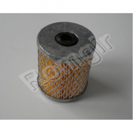 Filtre - Element filtru motorină stivuitor Balkancar | RomGir
