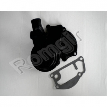 Sisteme Balkancar - Pompa apă D3900 stivuitor Balkancar | RomGir