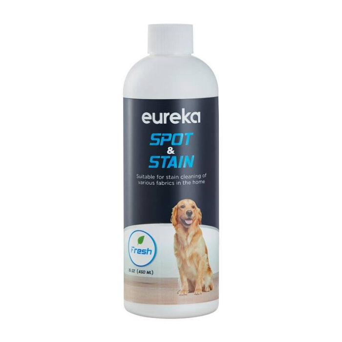 EUREKA NEY100 spalare aspirator [9]