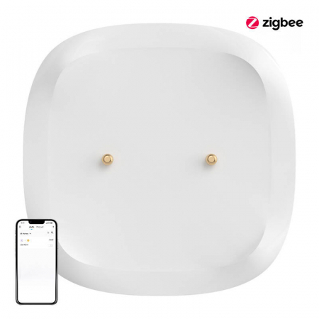 Smart Home Gadget - Senzor inteligent pentru scurgeri/inundatii ZigBee SONOFF SNZB-05P (+baterie)