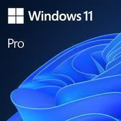 Windows OEM - SW OEM WIN 11 PRO 64B/ROM 1PK DVD FQC-10546 MS