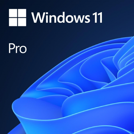 Electronic Software Delivery - SW WIN PRO 11 64-BIT ALL LNG PK LIC ONLINE DWNLD NR MS