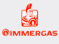 IMMERGAS Piese de Schimb