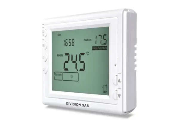 Termostat ambiental programabil cu fir DG909 [2]