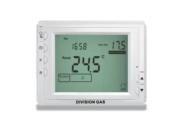 Termostat programabil DG908 GT, fara fir, receptor cu priza [6]