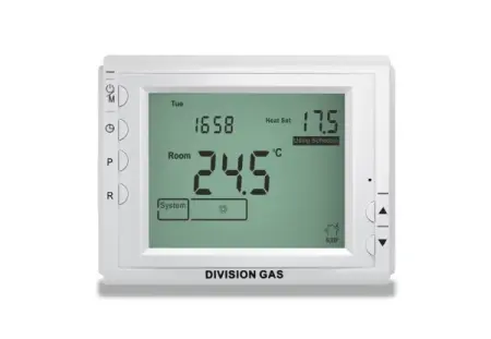 Termostat ambiental programabil cu fir DG909 [2]