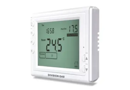 Termostat ambiental programabil cu fir DG909 [1]