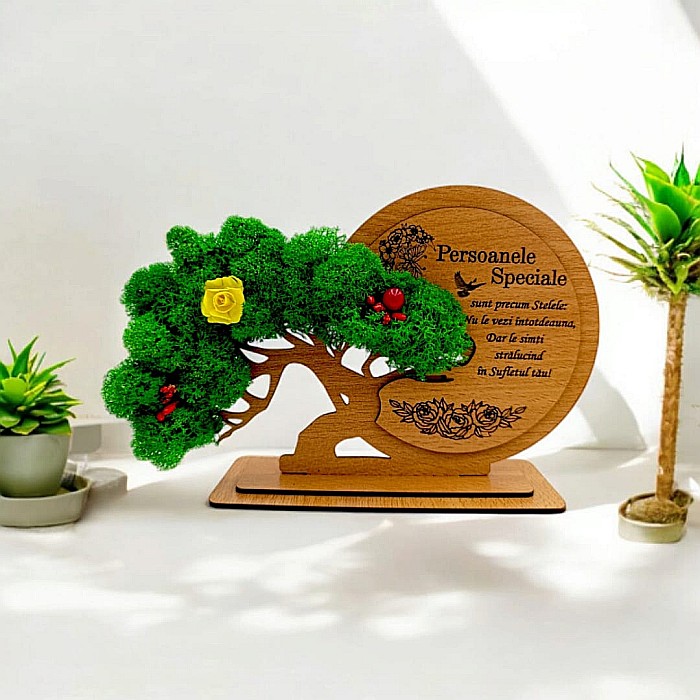 Decorațiune Cadou Bonsai, personalizat , "Persoanele Speciale sunt precum stelele" [1]
