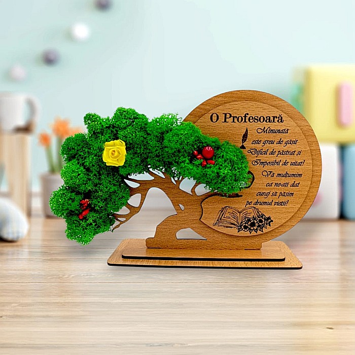 Decorațiune Cadou Bonsai, personalizat pentru Profesoara , "O Profesoara minunata este greu de gasit" [1]
