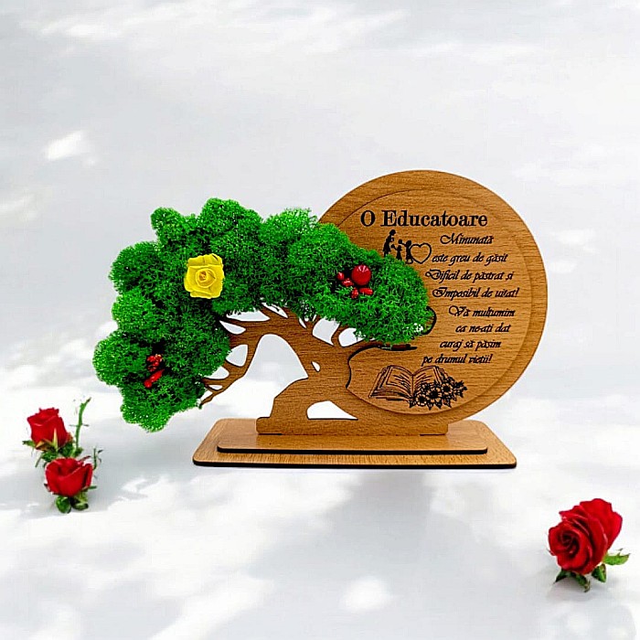 Decorațiune Cadou Bonsai, personalizat pentru Educatoare , "O Educatoare minunata este greu de gasit" [1]