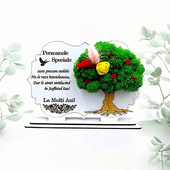 Cadou personalizat, Tablou cu mesaj standard pentru Aniversare/Familie/Prieteni/Persoanele Speciale [1]