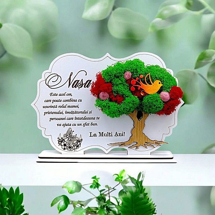 Cadou personalizat, Tablou cu mesaj standard pentru Nasa [1]