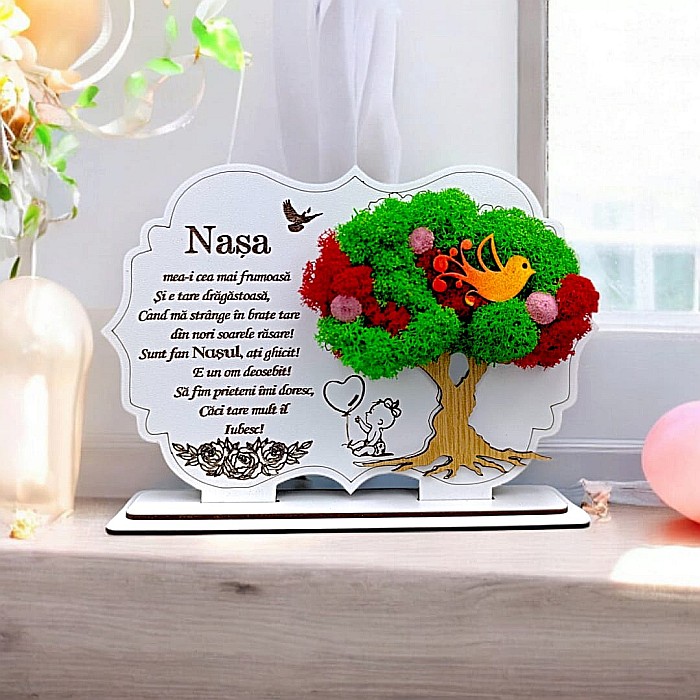 Cadou personalizat, Tablou cu mesaj standard pentru Nasa, model 2 [1]