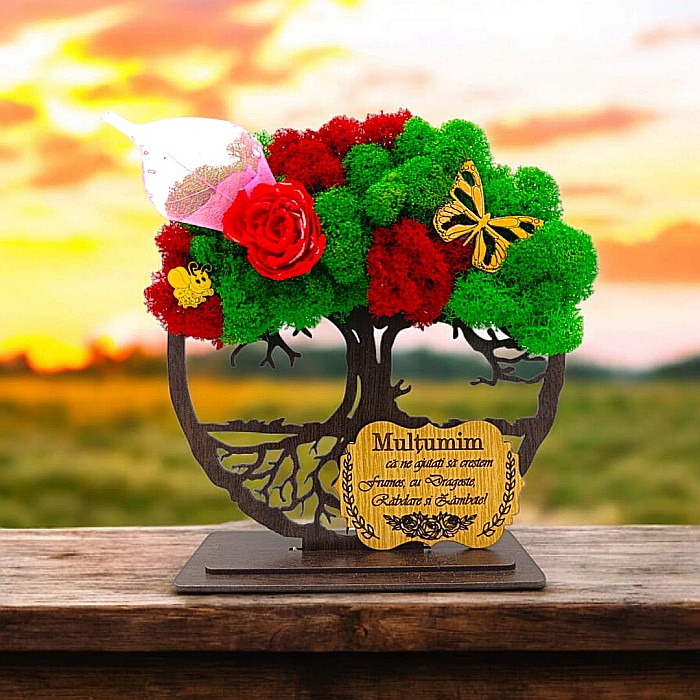 Cadou personalizat cu licheni – Copacul Vietii cu placuta si mesaj standard, model nou pentru Profesori, model 2 [1]