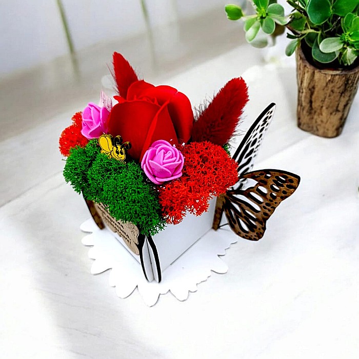 Cadou personalizat, cutie din lemn decorata cu licheni cu mesaj standard pentru Invatatoare, dimensiune 7x7cm, alb [2]