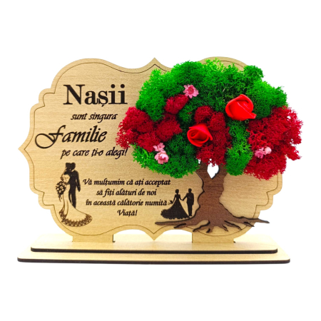 Cadouri Nasi - Decoratiune tablou cu licheni, cadou personalizat pentru Nasi, model 2