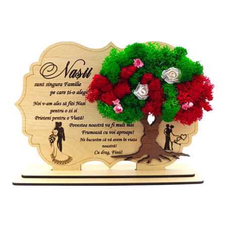 Cadouri Nasi - Decoratiune tablou cu licheni, cadou personalizat pentru Nasi, model 1