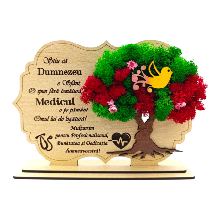 Cadouri Medic/Doctor - Decoratiune tablou cu licheni, cadou personalizat pentru Medic, model 1
